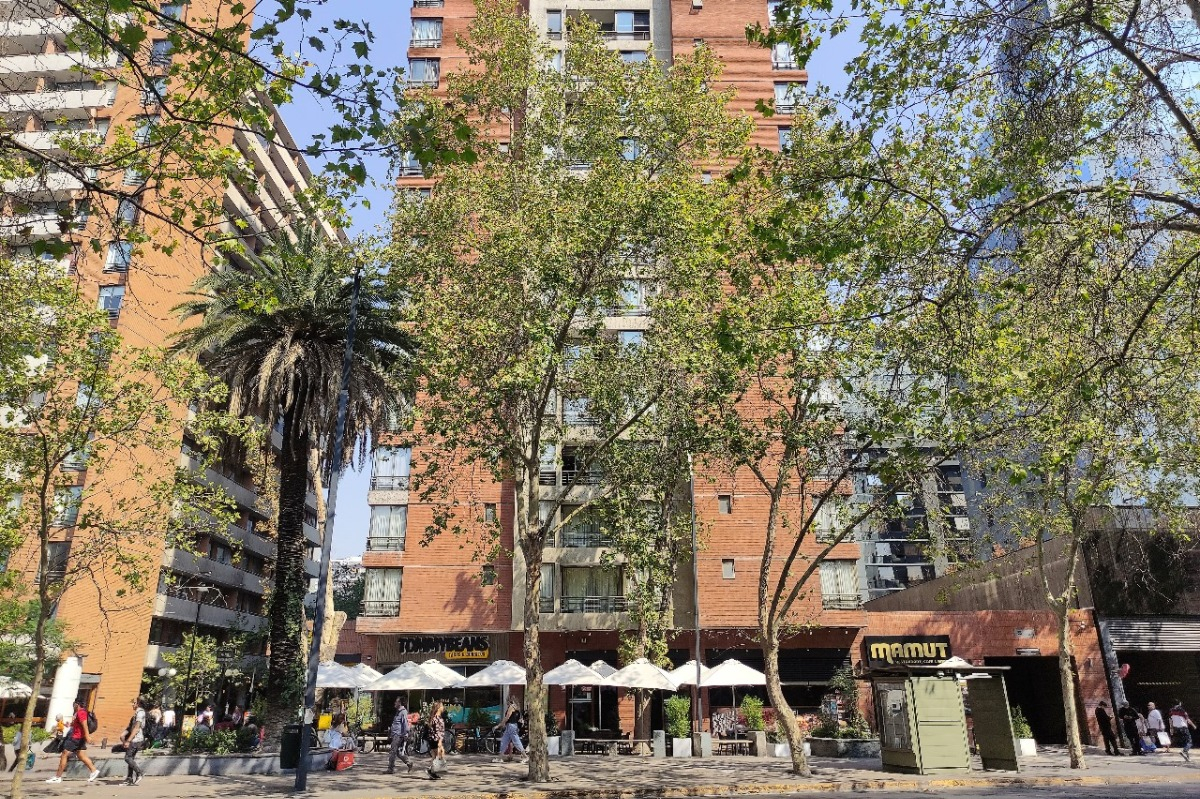 Venta Departamento NP 1D en suite Walk-in cl&oacute;set 1B  - Providencia