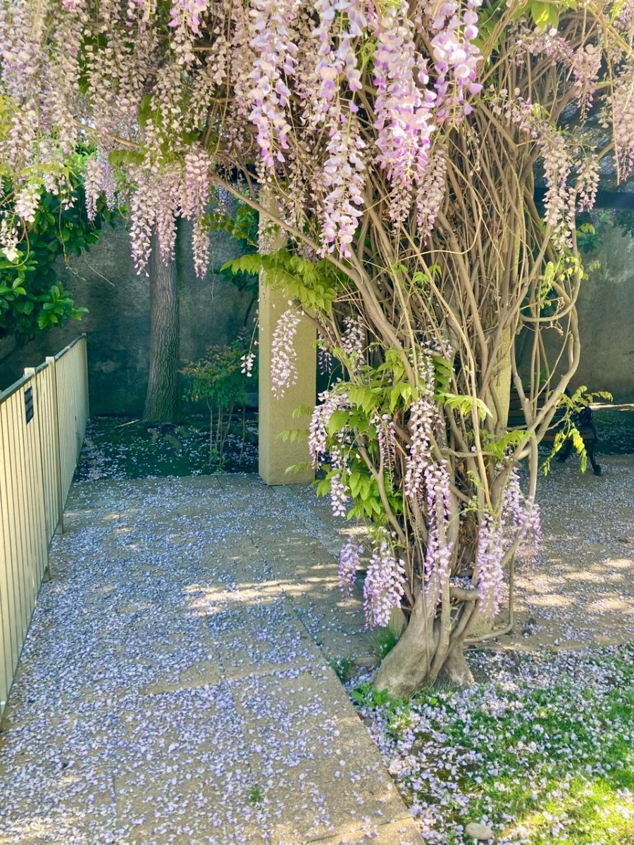 Arriendo Departamento O 2D 2B 1E 1B Barrio Italia - Providencia