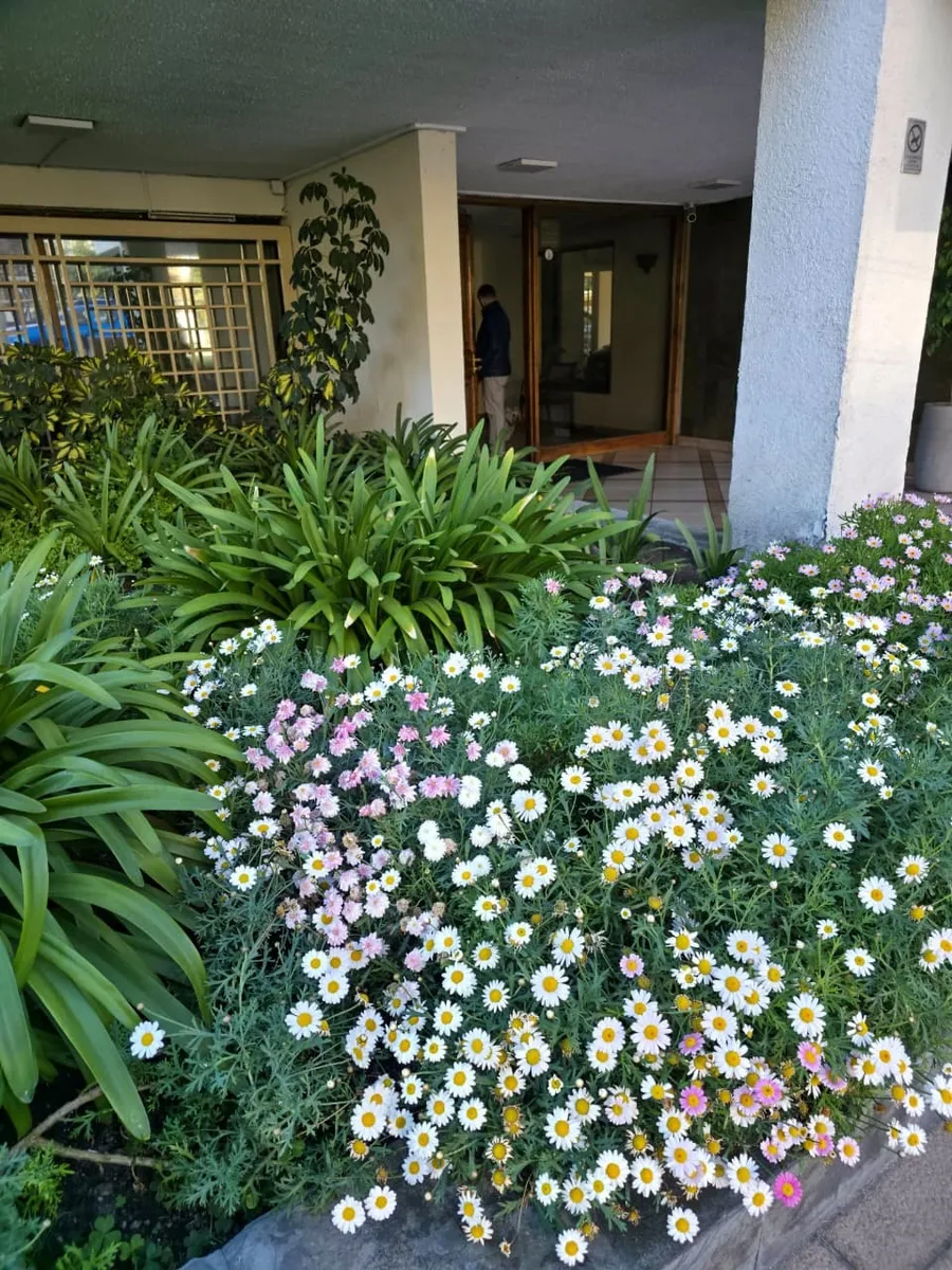 Venta Departamento NP 2D 2B 1E - Las Condes