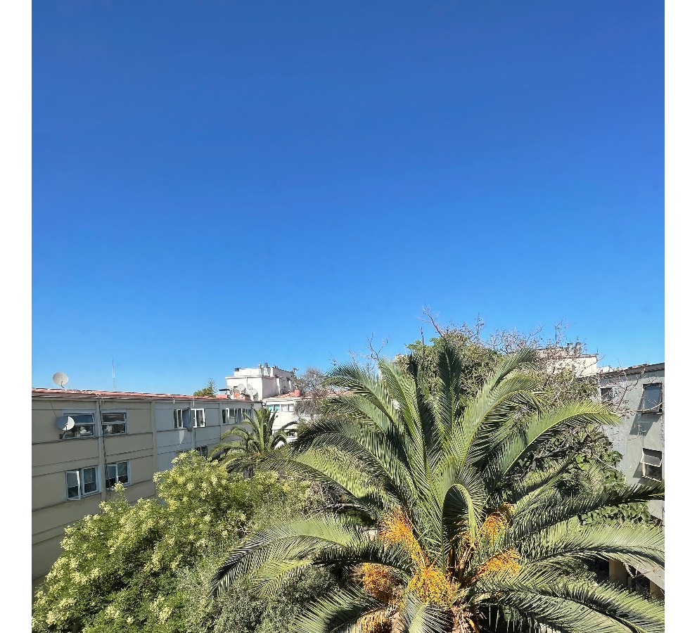 Arriendo Departamento P 3D 2B Barrio Italia - Providencia